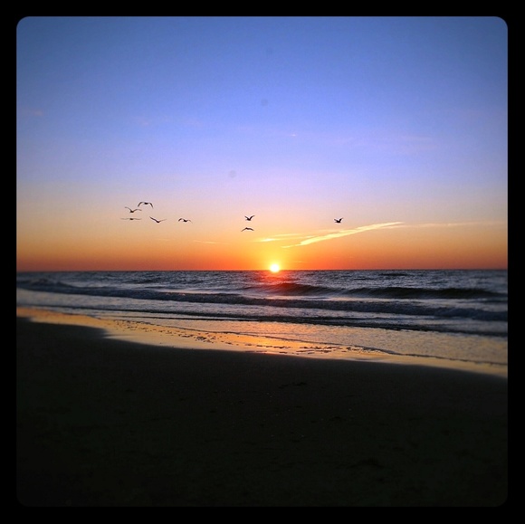 Meet your Posher, Micki - Picture 1 of 1